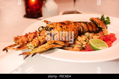 Large cooked lobster on plate Stock Photo