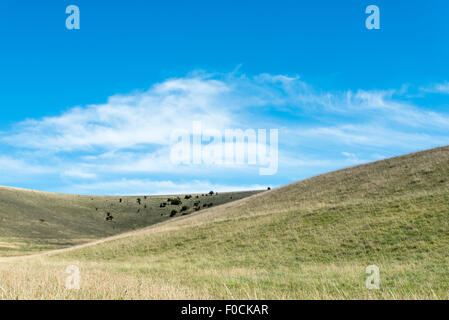 An autumn / late summer view of Southerham Down near Lewes, East Sussex Stock Photo