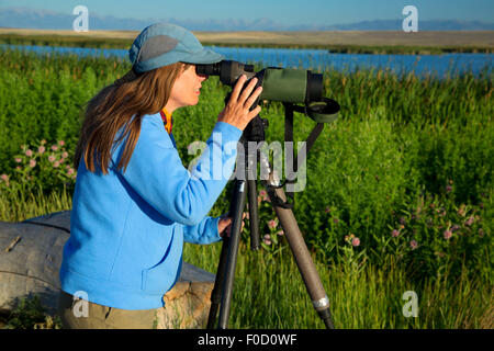 Birding, Camas National Wildlife Refuge, Idaho Stock Photo