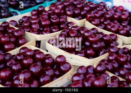 Cherries for sale at farmers' market. Stock Photo