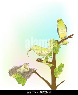 hand drawn little green birds feeding their young in the nest Stock Vector