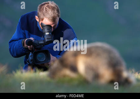 Marek Kolodziejczyk filming an Alpine marmot (Marmota marmota) model released, Hohe Tauern National Park, Austria, July 2008 Stock Photo