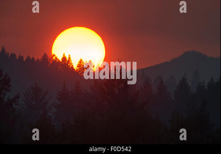 Elkton, Oregon, USA. 12th Aug, 2015. Smoke from several large nearby forest fires creates a hazy yellow sunset as seen from a hillside near Elkton in southwestern Oregon. Credit:  Robin Loznak/ZUMA Wire/Alamy Live News Stock Photo