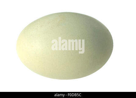 Gruenes; Ei; Huehnerei; Eier; Stock Photo
