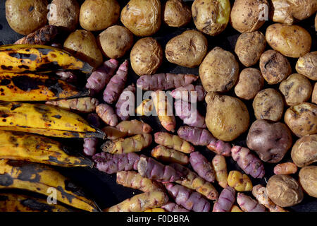 Bananas (Musa), potatoes (Solanum tuberosum) and oca or Oxalis tuberosa on a baking sheet, Bolivia Stock Photo