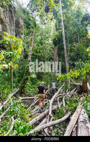 Tourist, hiker, young woman walking through branches in the jungle, Kuala Tahan, Taman Negara, Malaysia Stock Photo