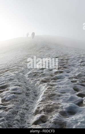 Climbers fading away in the fog, Triftgletscher glacier, West North West flank, Weissmies, Saas Valley, Valais Alps, Switzerland Stock Photo