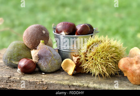 chestnuts figs and mushrooms on old plank Stock Photo