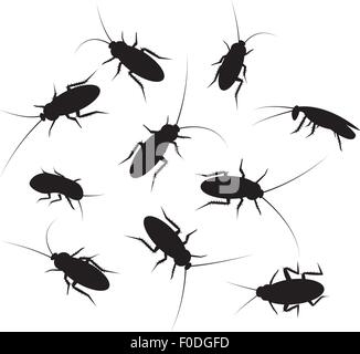 Set of black silhouette cockroach with detail, isolated on white background Stock Vector