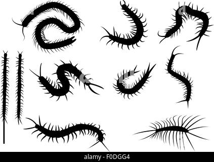 Set of black silhouette centipede in flat icon style. isolated on white background Stock Vector