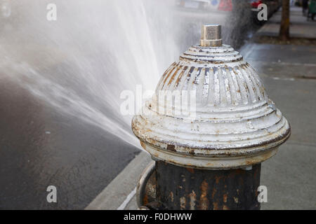 fire hydrant with sprayer turned on, Queens, New York City, USA. These are used during heat waves for street swimming Stock Photo