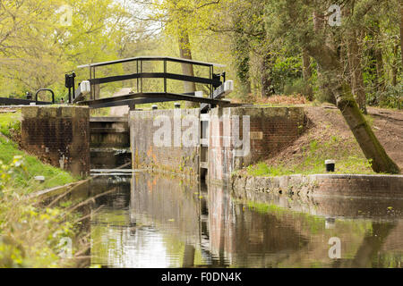 A view from the bank of the Basingstoke Canal of a lock showing the bridge over the lock. Stock Photo