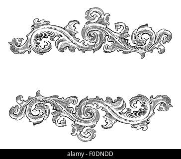 Beautiful Baroque  style decorative calligraphy floral vector ornament. Vintage logo title Stock Photo