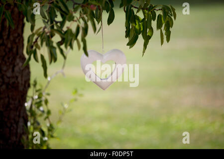 A heart shape lantern hanging on a tree, close up Stock Photo