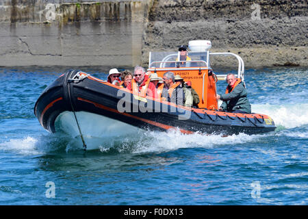 Osprey inflatable boat leaves Anstruther harbour in East Neuk of Fife taking visitors to Isle Of May on Firth of Forth, Scotland Stock Photo