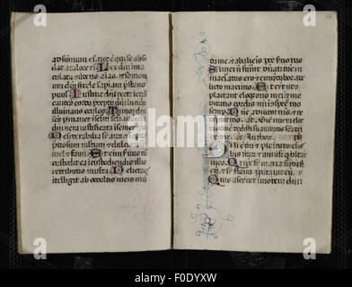 Codex Devotion The Codex Pollick, also known as the Book of Hours, is a medieval ...