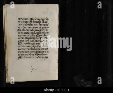 Codex Devotion The Codex Pollick, a beautifully illustrated Book of Hours, is a ...