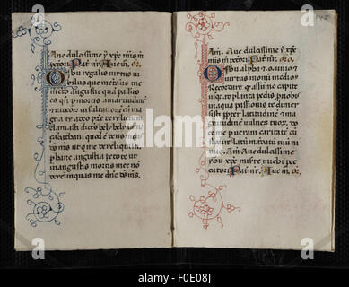 Personal Codex Example The Codex Pollick, or Book of Hours, is a renowned example of medieval ...