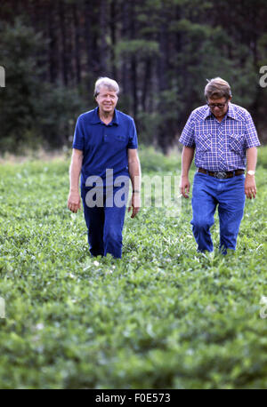 Nov. 11, 2014 - President Jimmy Carter and his brother Billy Carter are joined by a tenant farmer as they assess their summer peanut crop. The Carters own tracts of farmland around Plains, Georgia along with a peanut warehouse in that city, although the President's holdings are held in a blind trust during his presidency. (Credit Image: © Ken Hawkins via ZUMA Wire) Stock Photo