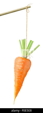 Carrot dangling on a string isolated on white Stock Photo