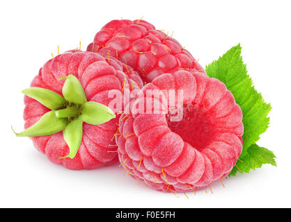 Three fresh raspberries isolated on white Stock Photo