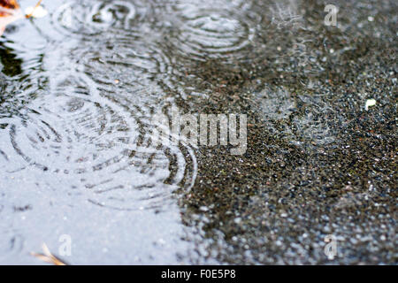 Raindrop rings in a puddle Stock Photo