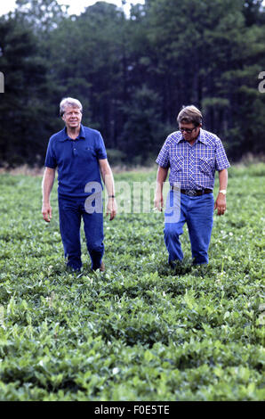 President Jimmy Carter and his brother Billy Carter are joined by a tenant farmer as they assess their summer peanut crop. 11th Nov, 2014. The Carters own tracts of farmland around Plains, Georgia along with a peanut warehouse in that city, although the President's holdings are held in a blind trust during his presidency. © Ken Hawkins/ZUMA Wire/Alamy Live News Stock Photo