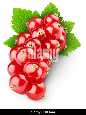 Red currants isolated on white Stock Photo