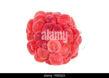 Close-up of a ripe red raspberry, isolated on white background. Stock Photo