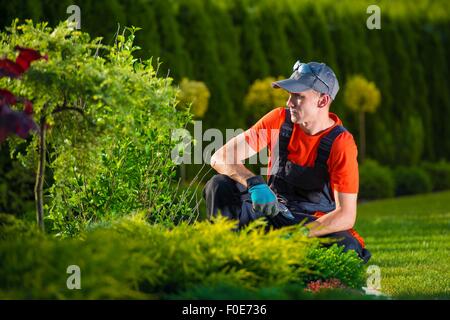 Creative Garden Designer. Professional Gardener Thinking About His Garden Design. Men At Work. Stock Photo