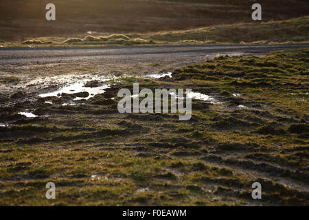 Tyre tracks in mud with puddles Stock Photo