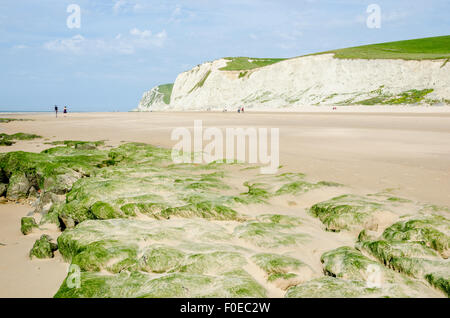 Cap Blanc Nez cliff near Escalles and Calais, Pas-de-Calais, France Stock Photo