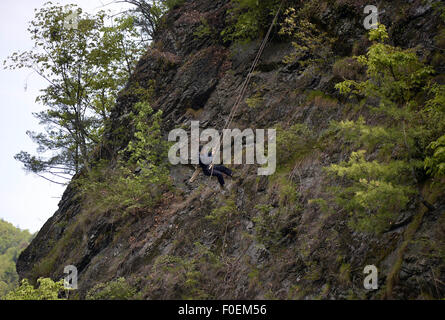 Chongqing, Chongqing, CHN. 7th May, 2015. Chongqing, CHINA - May 10 2015: (EDITORIAL USE ONLY. CHINA OUTï¼‰42-year-old Agaric picker Wu Yinghui is picking agaric on the rocks difficultly in Chengkou County. © SIPA Asia/ZUMA Wire/Alamy Live News Stock Photo