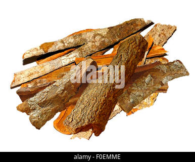 Chinin, Chinarinde, Malariamittel, Heilpflanzen, Stock Photo