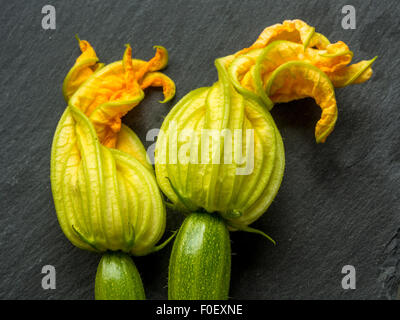 Two courgettes with their flowers still attached. Stock Photo
