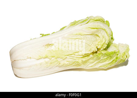 Pekingese cabbage isolated on white. Stock Photo