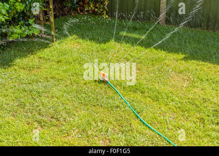 A sprinkler watering a garden lawn in the Uk Stock Photo