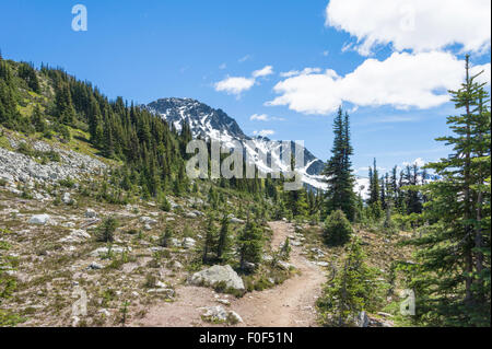 View along the Overlord Trail in summer, Blackcomb Mountain, Whistler, BC, Canada Stock Photo