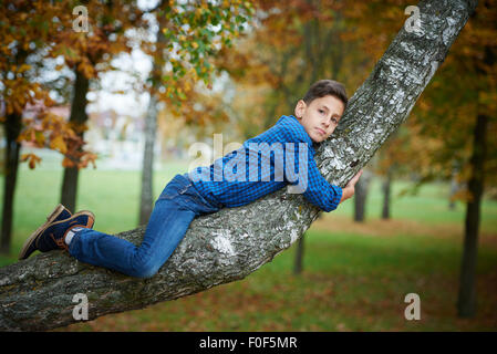 boy climbs up the tree in park Stock Photo