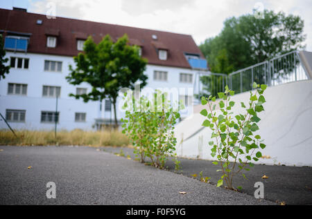 Bamberg, Germany. 14th Aug, 2015. Plants grow in front of a housing block in the 'Warner Barracks' former US military base in Bamberg, Germany, 14 August 2015. The site is intended to become the second reception centre for asylum seekers from the Balkans. PHOTO: NICOLAS ARMER/DPA/Alamy Live News Stock Photo
