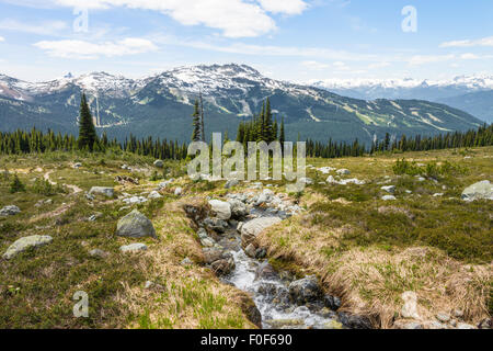 Alpine stream near Blackcomb Lake with Whistler Mountain beyond, Lakeside Loop Trail, Blackcomb Mountain, Whistler, BC, Canada Stock Photo