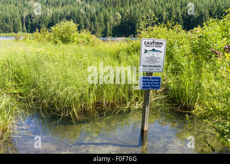 Fish rearing conservation sign near Lost Lake, Whistler, BC, Canada Stock Photo