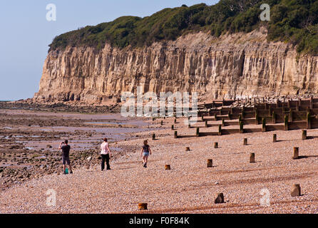 Shingle Beach and Cliffs On The east Sussex Coastline at Pett Level England UK Stock Photo