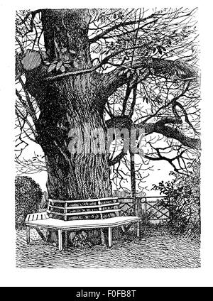 Gardens - Engraving of wooden bench around a big tree trunck in ornamental garden Stock Photo