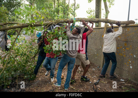 Thousands of migrants endure misery of 'jungle' makeshift camps near Calais. Stock Photo