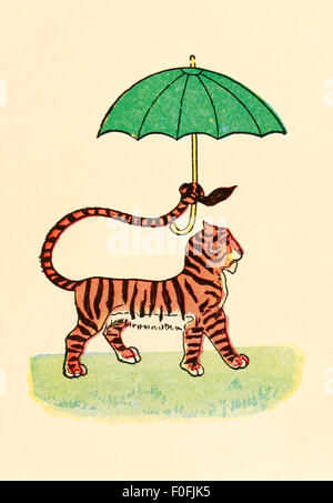 'Now I'm the grandest Tiger in the Jungle'. Image from 'The Story of Little Black Sambo' by Helen Bannerman. See description for more information. Stock Photo
