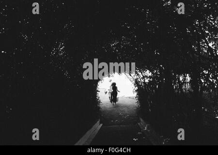 couple walking through the tunnel of trees Stock Photo