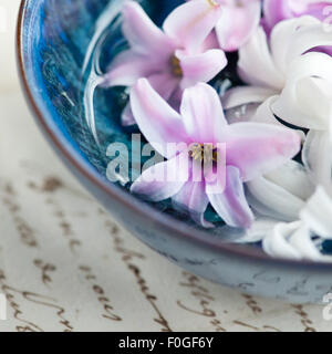 close up of hycinth flower heads floating in a blue bowl Stock Photo