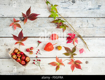 autumn gatherings of crab apples, rosehips, virgina creeper leaves, and chinese lanterns Stock Photo