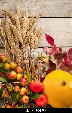 autumn gatherings of wheat ears, crabapples, chinese lanterns, poppy seedheads, virginia creeper leaves Stock Photo